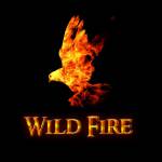 DANCE SHOW Wild Fire Sacrarium Profile Picture