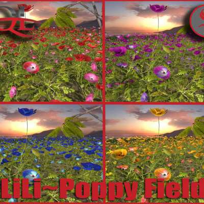 ~LiLi~Poppy Field~BOX Profile Picture