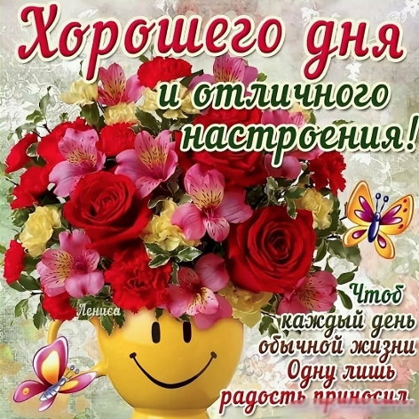 Comment image