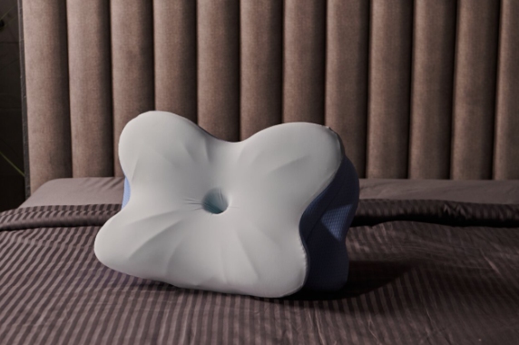 Derila Ergo Pillow Reviews
