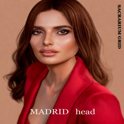 *SG* - / HEAD / lel evox / MADRID 4.0 Profile Picture