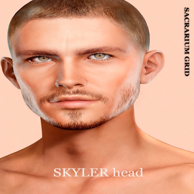 *SG* - / HEAD / lel evox / SKYLER 4.0 Profile Picture