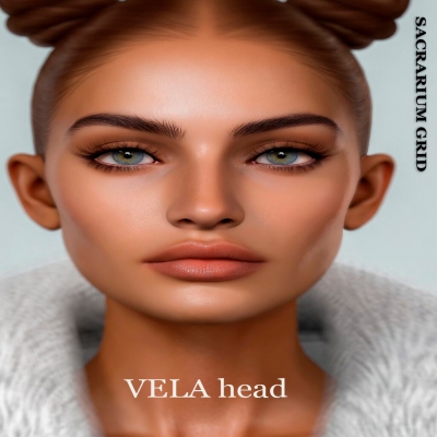 * SG* - / HEAD / lel evox / VELA 4.0 Profile Picture