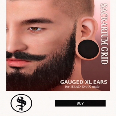* SG*  -   Gauged XL Ears (m) Profile Picture
