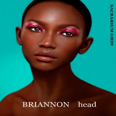 *SG* / HEAD / lel evox / BRIANNON 4.0 Profile Picture