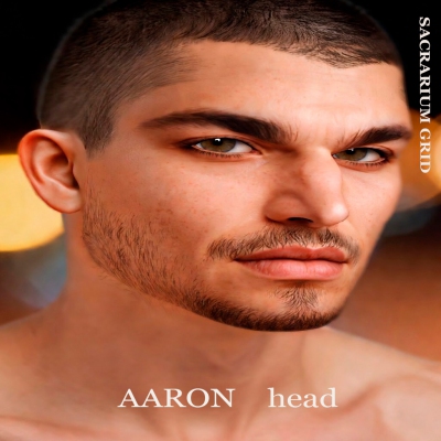 *SG* - / HEAD / lel evox / AARON 4.0 Profile Picture