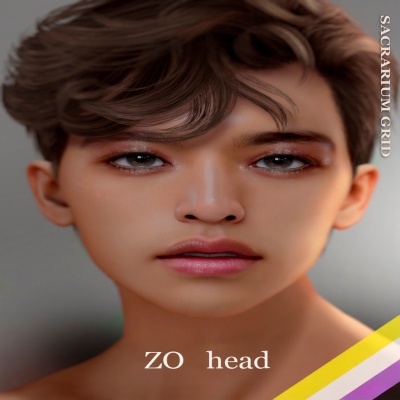 *SG* - / HEAD / lel evox / ZO  4.0 Profile Picture