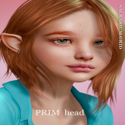 *SG* - / HEAD / lel evox / PRIM 4.0 Profile Picture