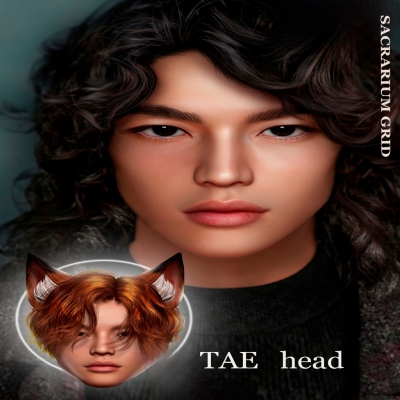 *SG* - / HEAD / lel evox / TAE 4.0 Profile Picture