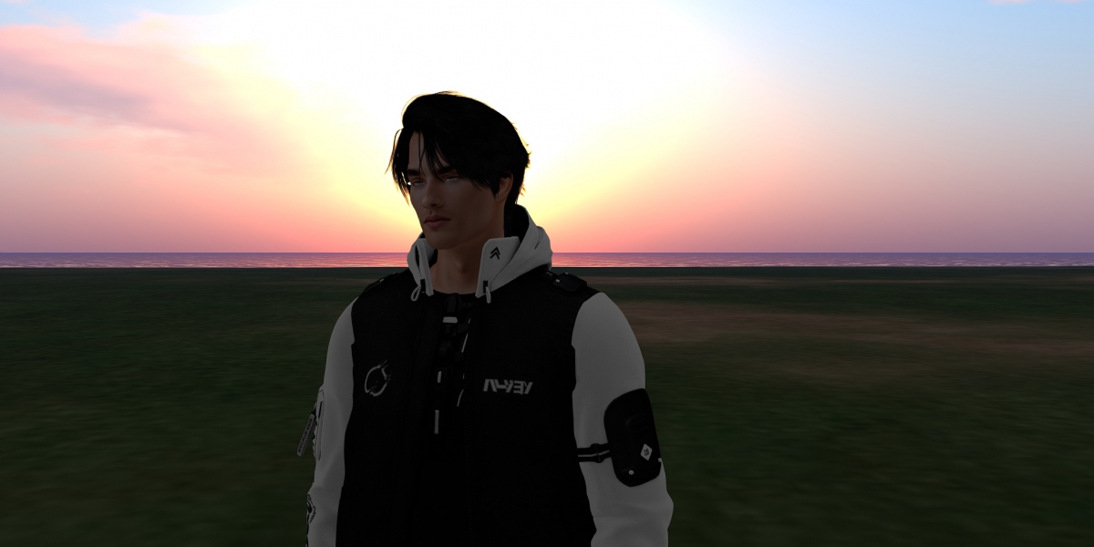 OSGrid's Dirty Secret: How Platform Admins Weaponized Privacy and Got Away With It